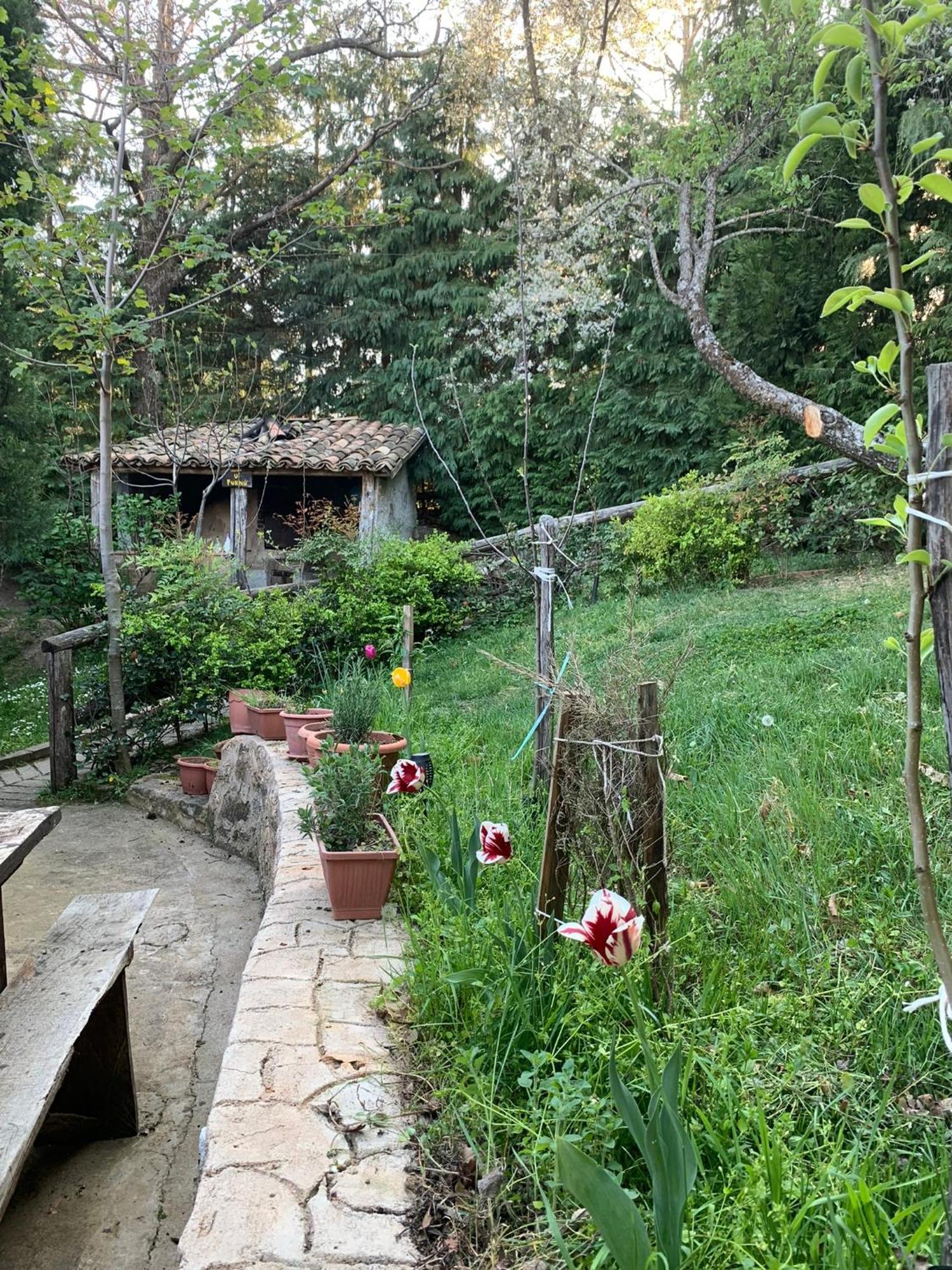 Agriturismo Carrozzino Sersale エクステリア 写真