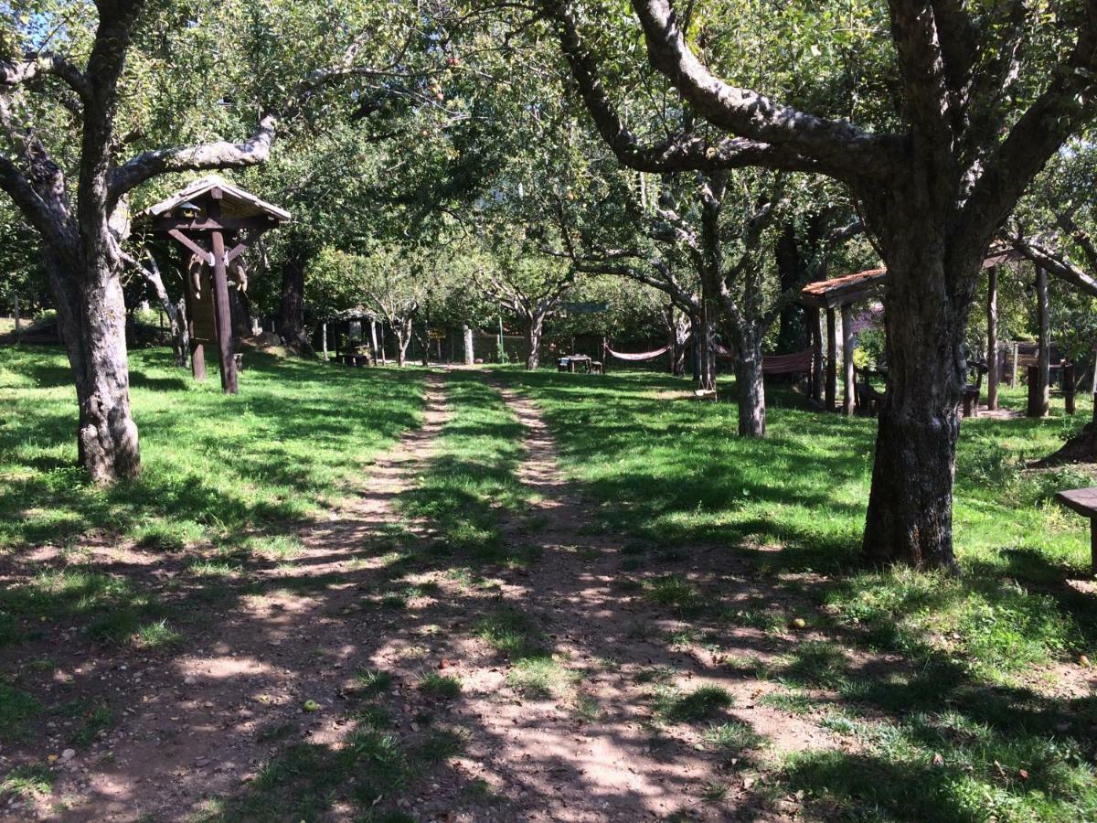 Agriturismo Carrozzino Sersale エクステリア 写真